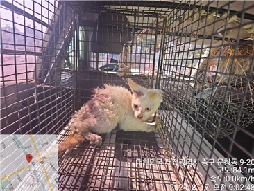 종료(자연사) 한국…